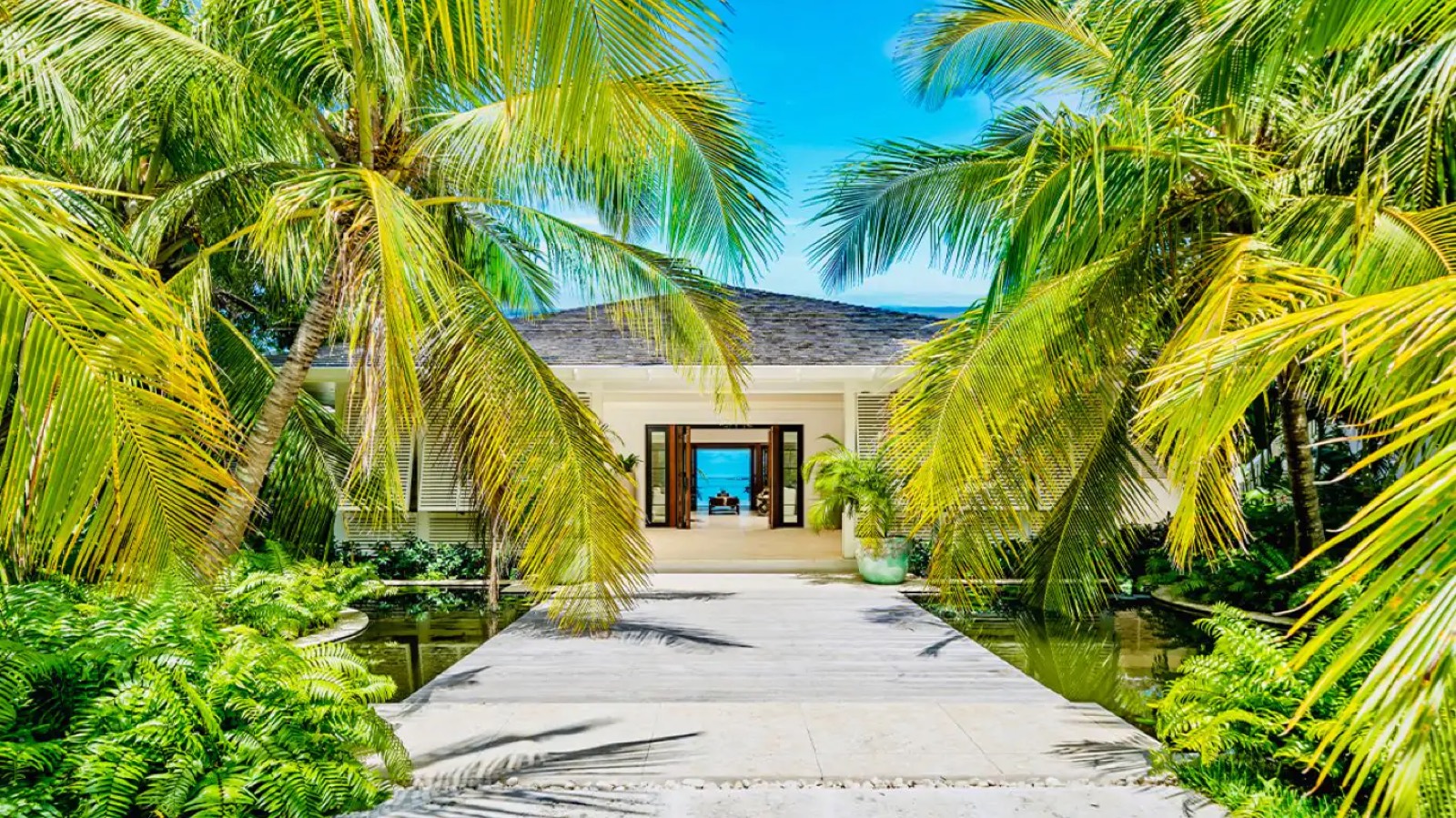 Palm-lined walk to the front doors