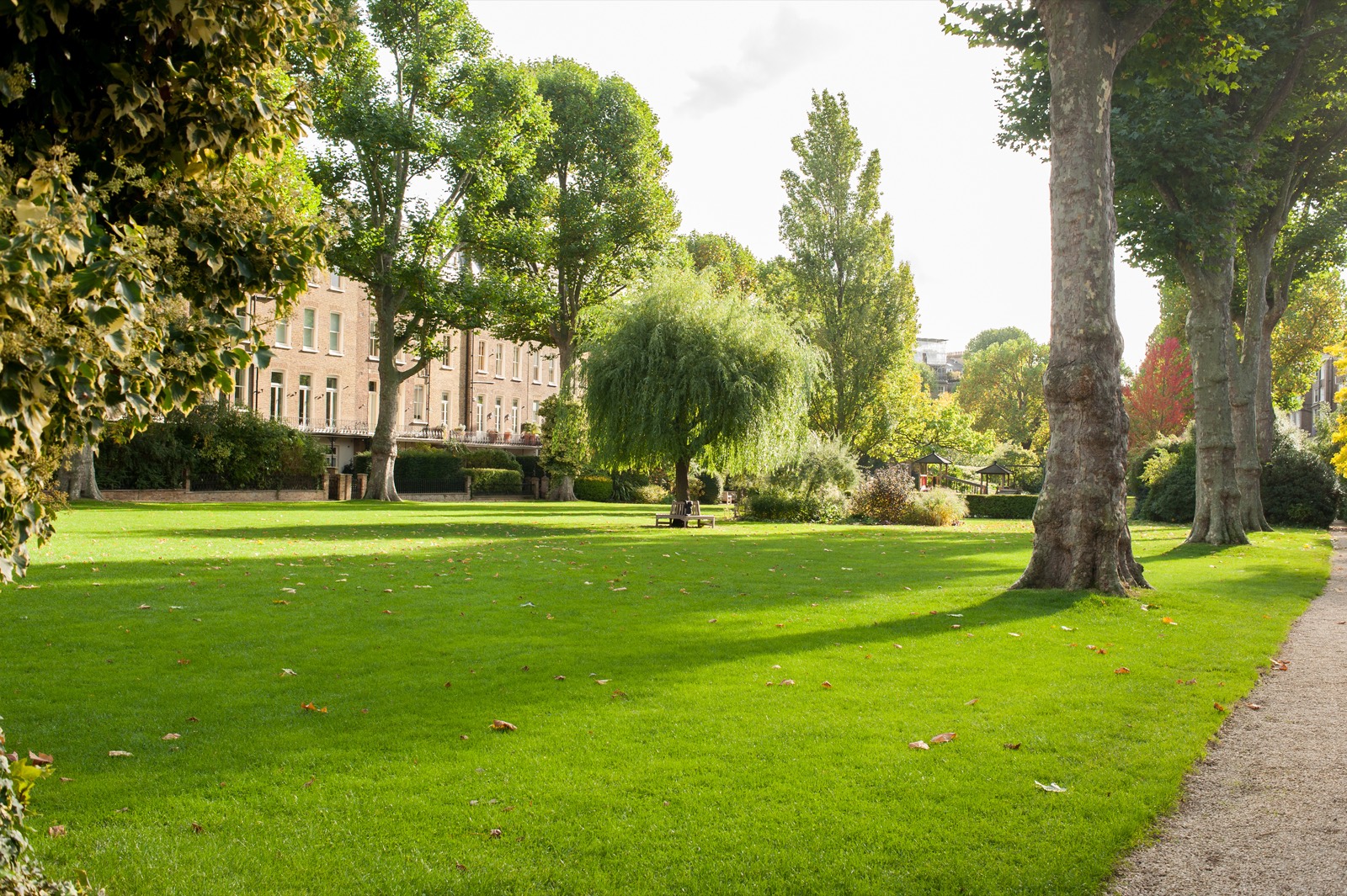 Wide lawn beneath the plane trees