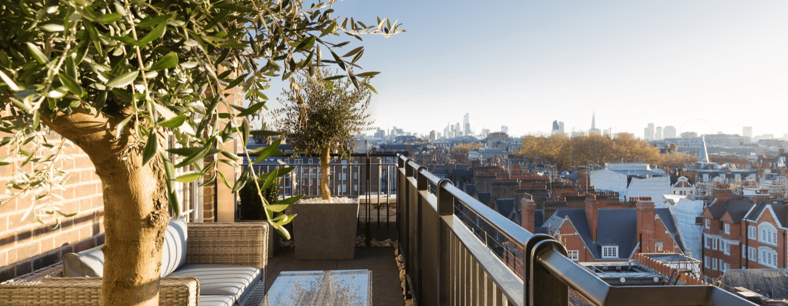 Balcony with olive trees above the rooftops