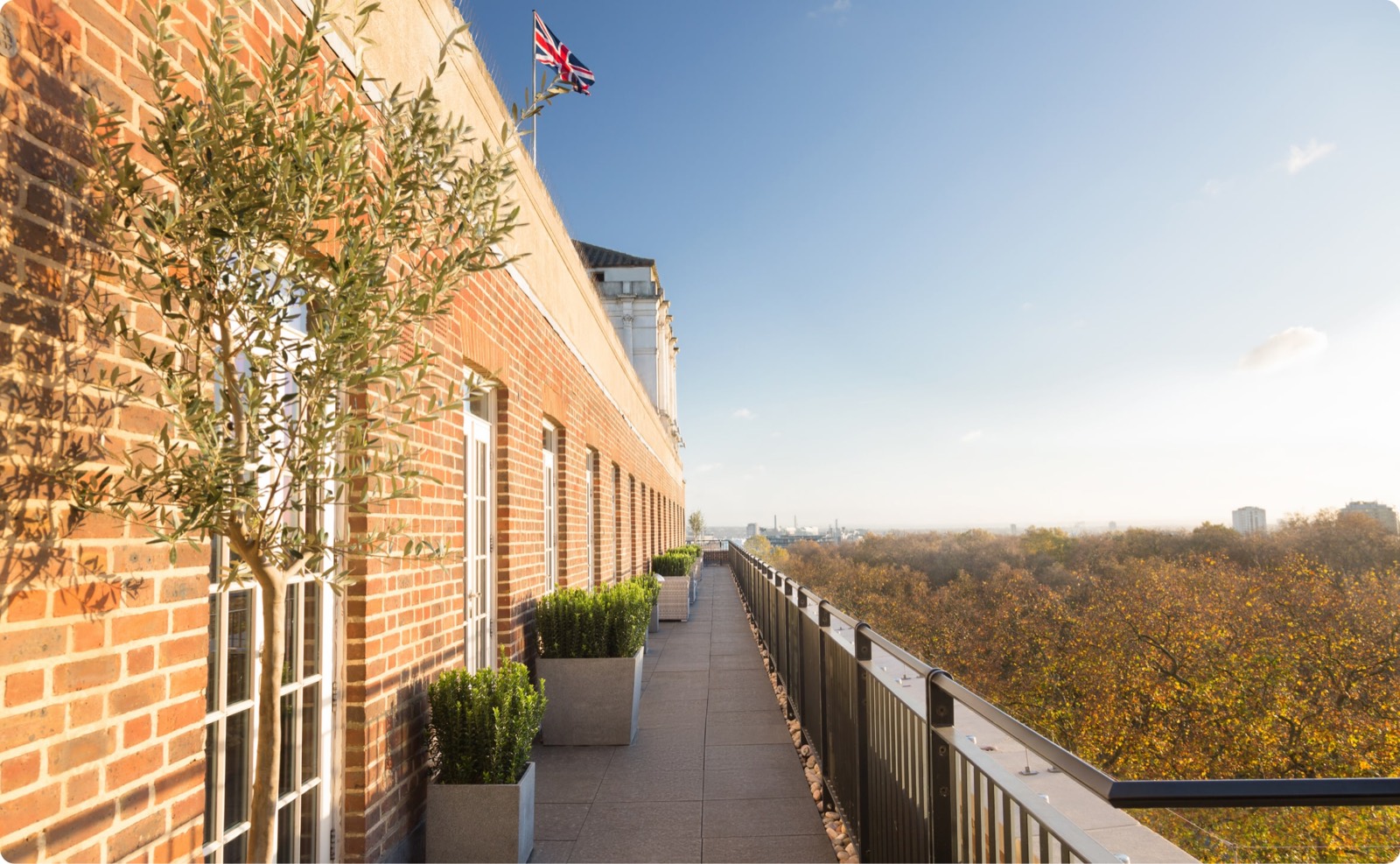 The long balcony above the treetops