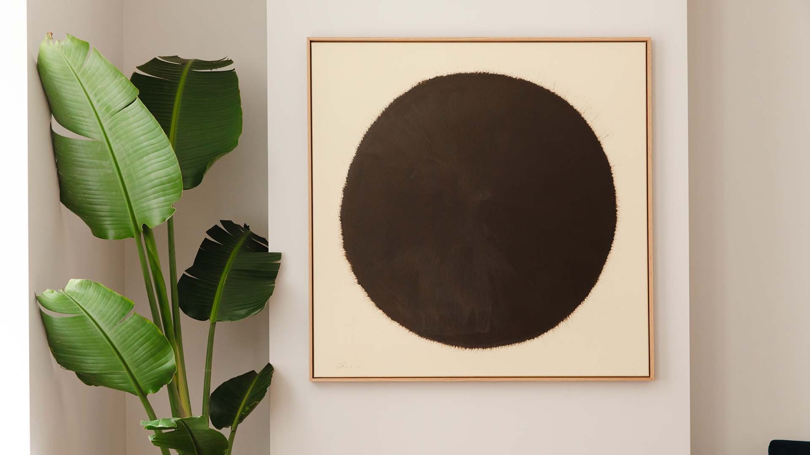Framed artwork and plant in the corner
