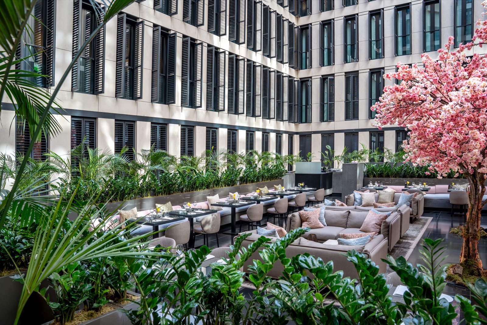 The planted atrium with its blossom tree