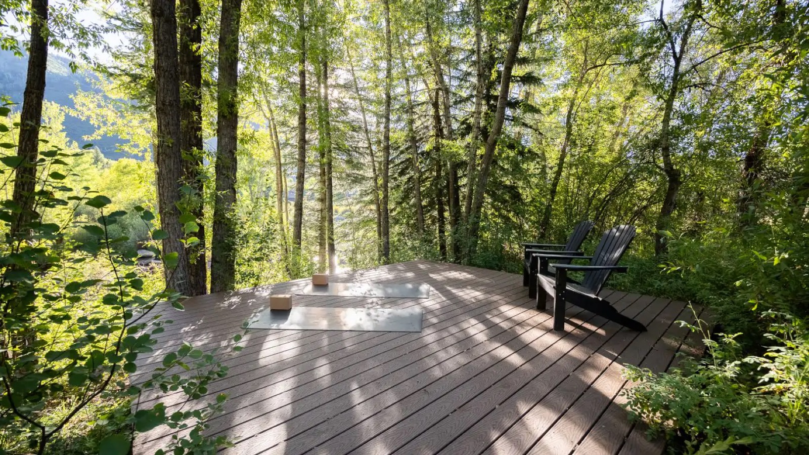Yoga deck among the trees