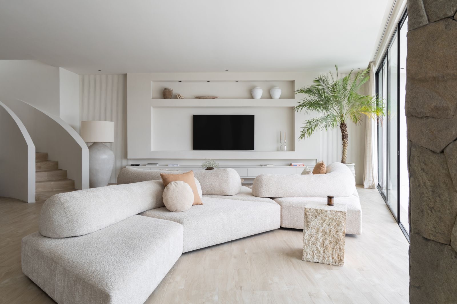 Living room with media wall and palm