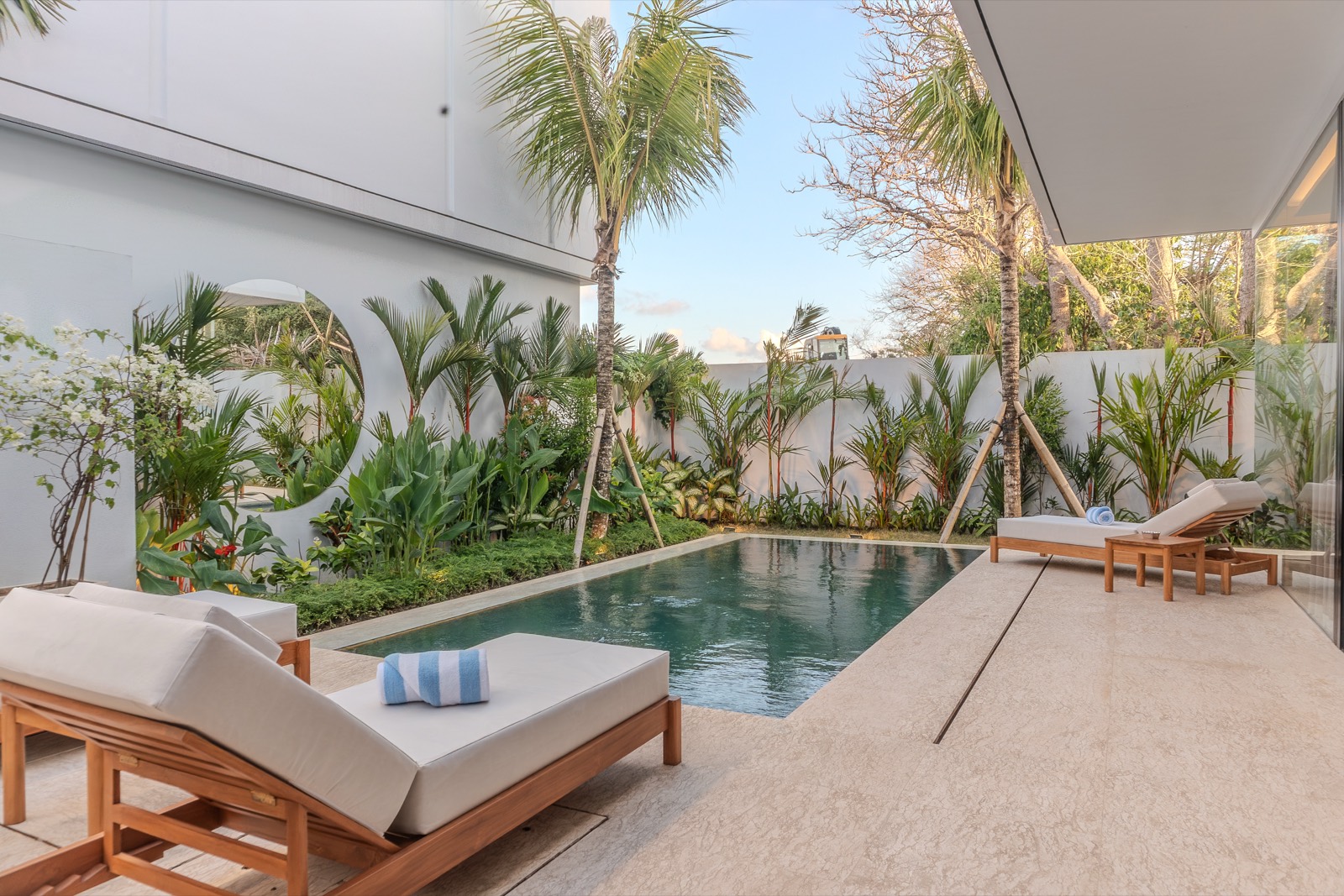 Palms and planting along the pool's far edge