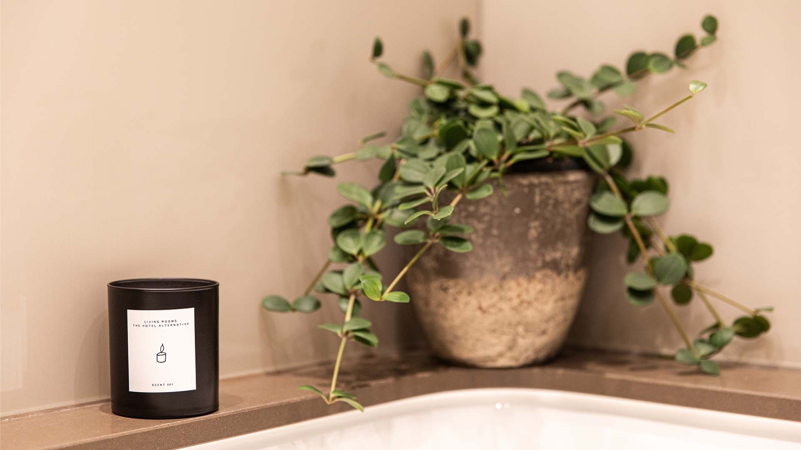 Candle and trailing plant on the bathroom ledge