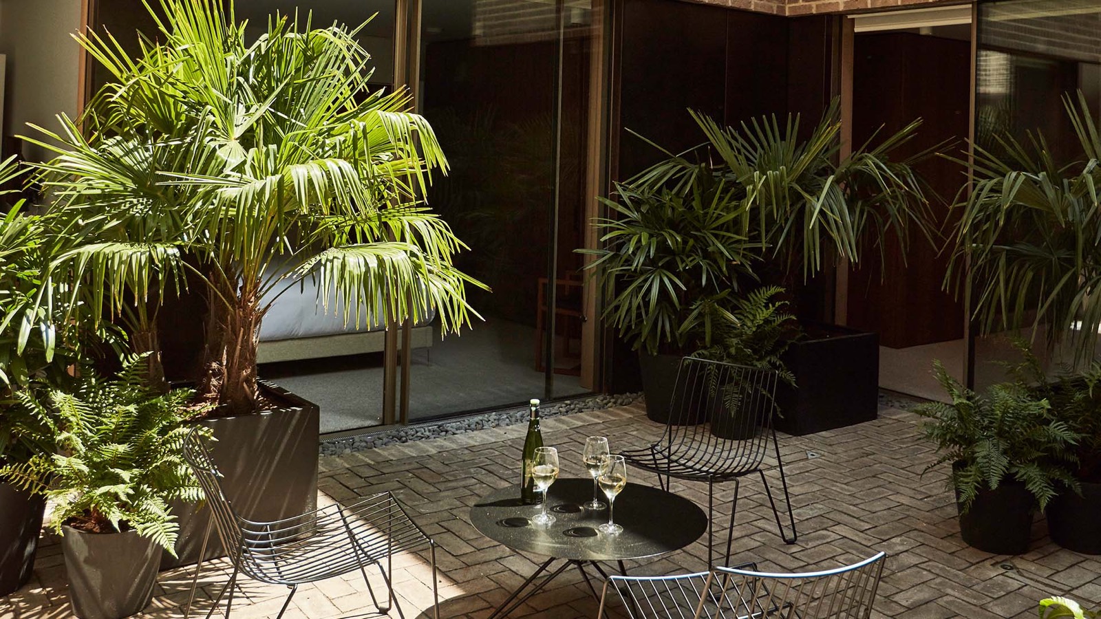 Courtyard palms and ferns in afternoon sun