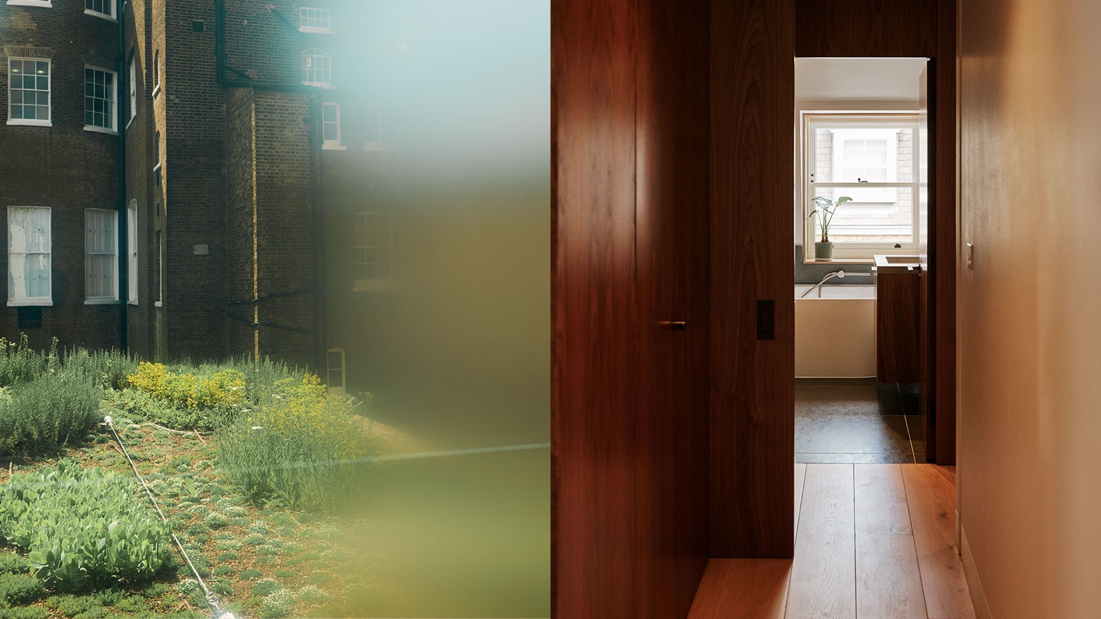 Mews planting and the walnut-panelled hallway